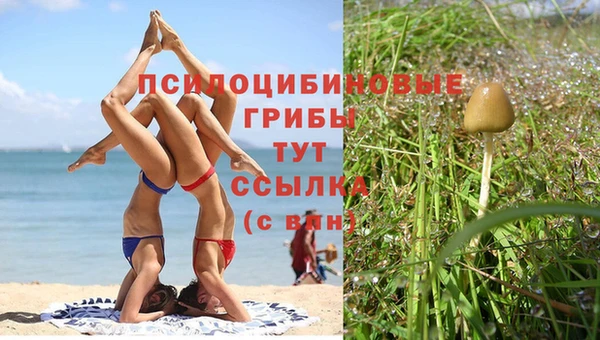 прущая мука Медвежьегорск