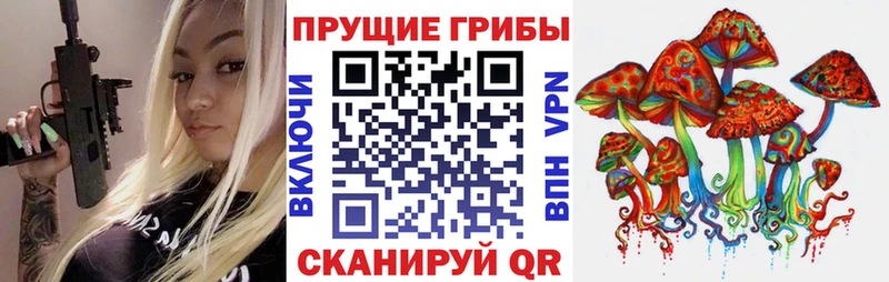 Галлюциногенные грибы MAGIC MUSHROOMS KRAKEN вход Чекалин